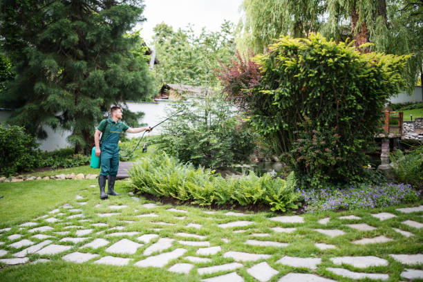 Best Best Pest Control Companies  in Pinole, CA