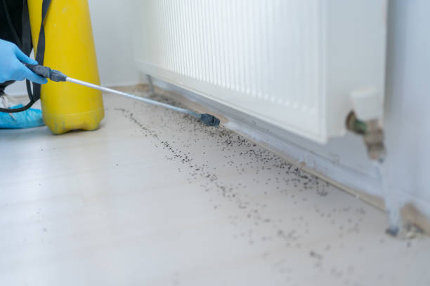 Best Exterminator Services  in Pinole, CA