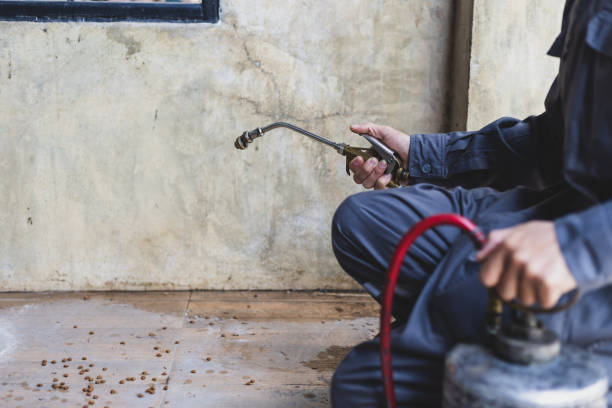 Best Affordable Exterminators  in Pinole, CA